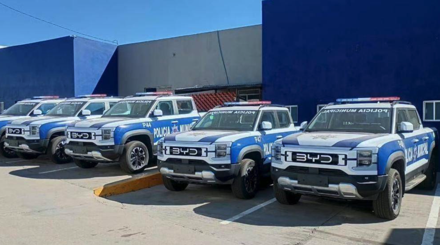 喜提“国际编制” 比亚迪海外公务车市场刮起中国风