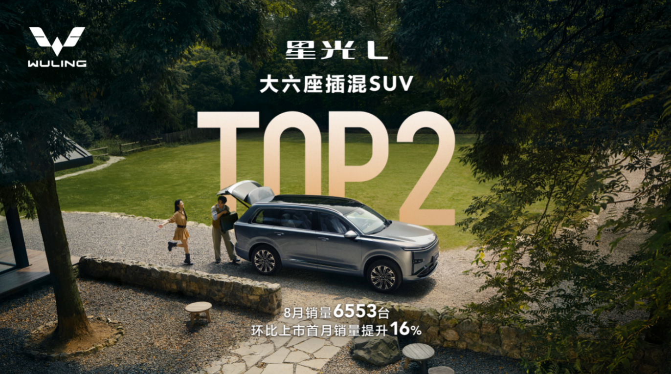 星光L斩获大六座插混SUV销量TOP2，十万级大六座持续热销领跑
